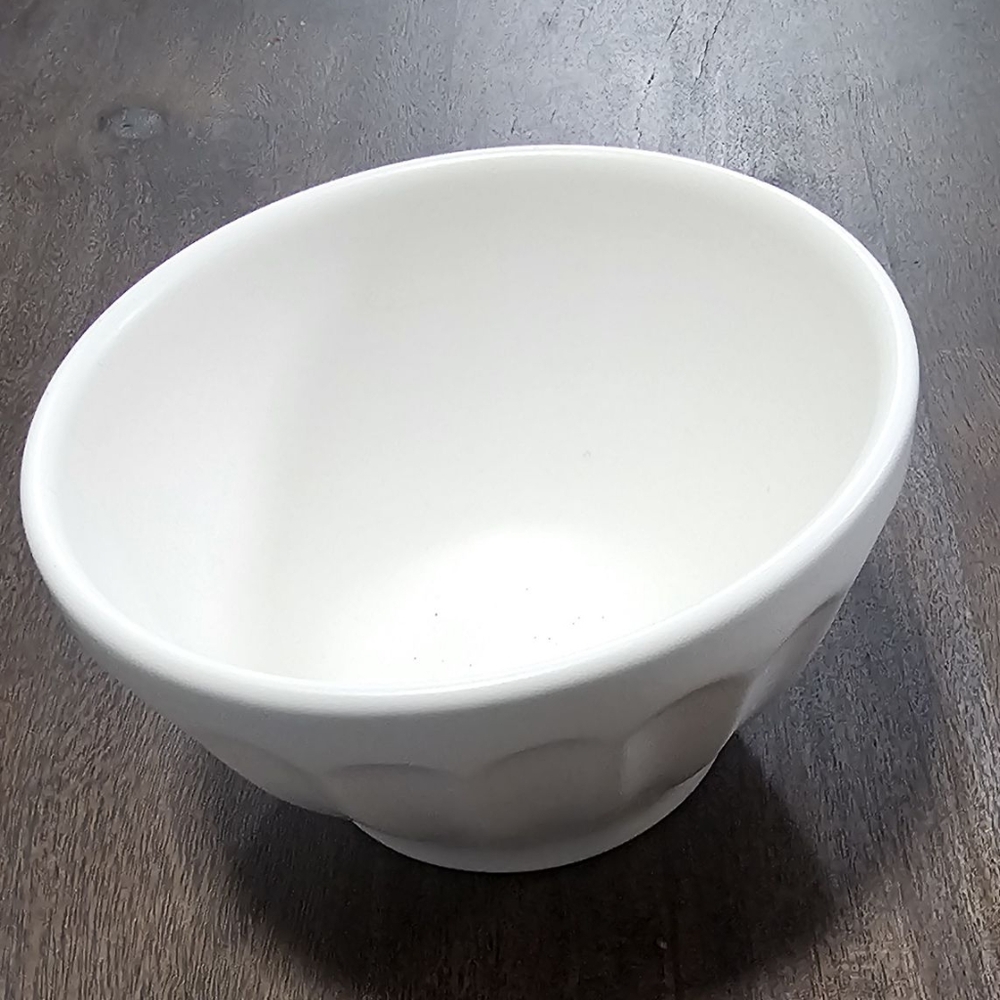 NWT 4 white Anthropologie Matte Earthenware bowls